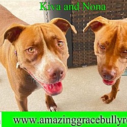 Photo of Kiva and Nona