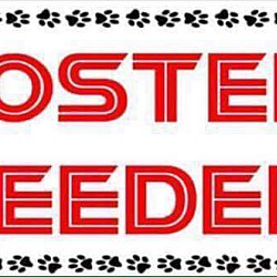 Thumbnail photo of FOSTER VOLUNTEERS  NEEDED #3