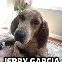 Thumbnail photo of Jerry Garcia #1