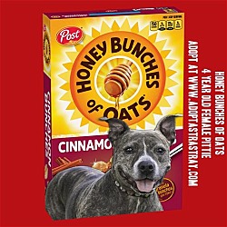 Photo of Honey Bunches of Oats