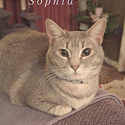 Photo of Sophia
