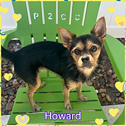 Thumbnail photo of Howard #2