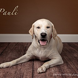 Thumbnail photo of Pauli Girl #3