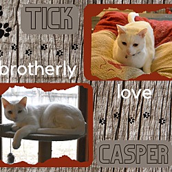 Thumbnail photo of Casper&Tick #2