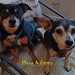 Photo of Maxx & Emmy