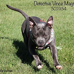 Thumbnail photo of Detective Vince Magnotta #3