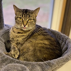 Photo of Ash