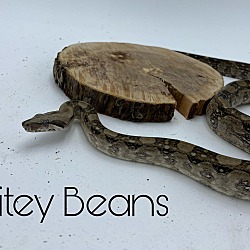 Photo of Bitey Beans