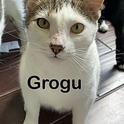 Thumbnail photo of Grogu (Nabisco) #4