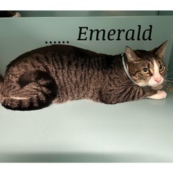 Thumbnail photo of Emerald #1