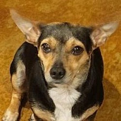 Photo of Sissy FJ