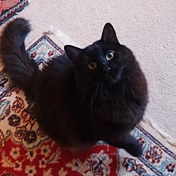Photo of Jack