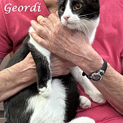 Thumbnail photo of Cutie GEORDI #2