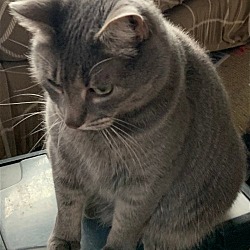 Photo of Anastasia