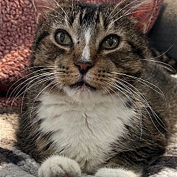 Photo of Carter