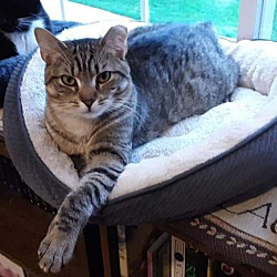 Photo of Buttons