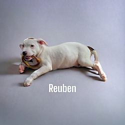 Photo of Reuben