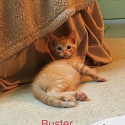 Thumbnail photo of Buster and Sissy #1