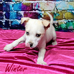 Thumbnail photo of Molli Winter ~ meet me! #3