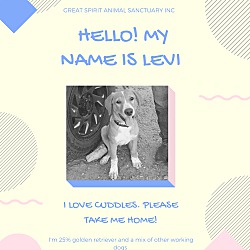 Thumbnail photo of Levi #2