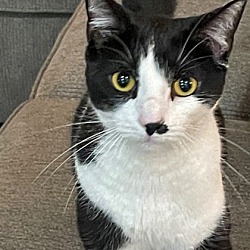 Photo of Cattie Bree