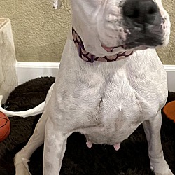 Photo of Joplin