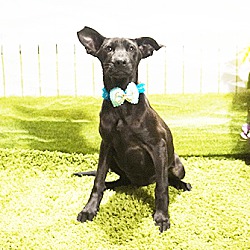 Photo of Clova