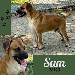 Thumbnail photo of Sam #4