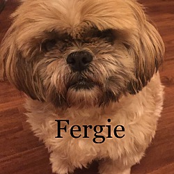 Photo of Fergie