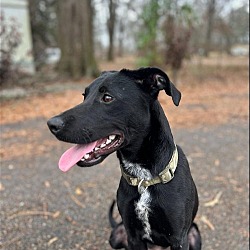 Photo of Jack