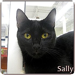 Photo of Sally