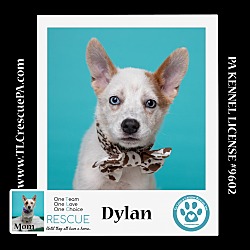 Photo of Dylan (Daisy's Droplets) 051824