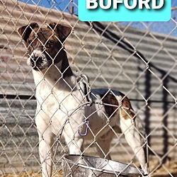 Photo of Buford