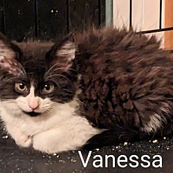 Photo of Vanessa