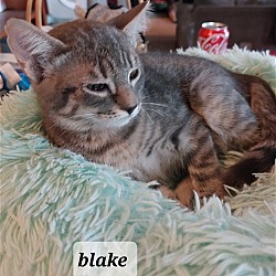 Thumbnail photo of Blake #3