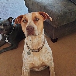 Photo of Spanky