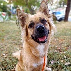 Photo of Chloe AG*