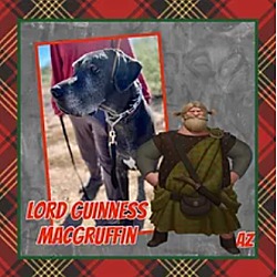 Photo of Lord Guinness MacGruffin