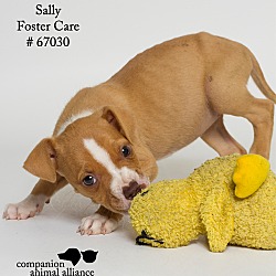 Thumbnail photo of Sally (Foster) #2