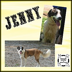 Thumbnail photo of Jenny #1
