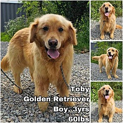 Photo of Toby from Korea