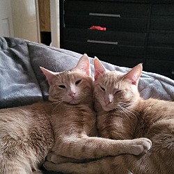 Thumbnail photo of Alpha and Pip #2