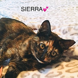 Photo of Sierra