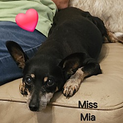 Thumbnail photo of Mia #4