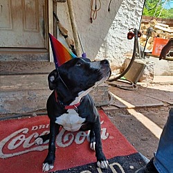 Photo of Thor