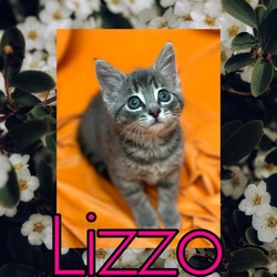 Photo of Lizzo