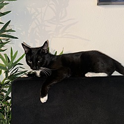 Photo of Zeus