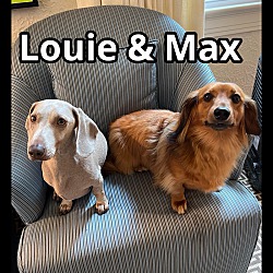Photo of Louie & Max