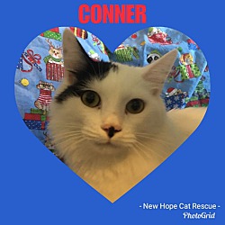 Thumbnail photo of Conner #1