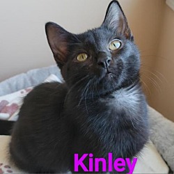Thumbnail photo of Kinley #2
